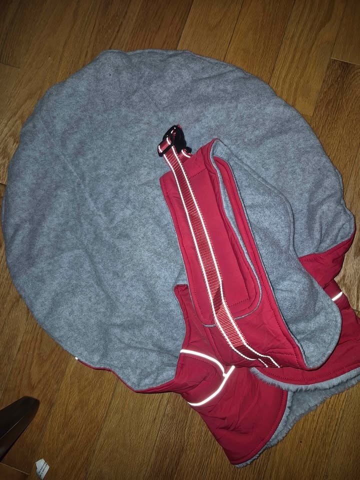 Weather resistant lined/warm dog coat - XL - photo 3
