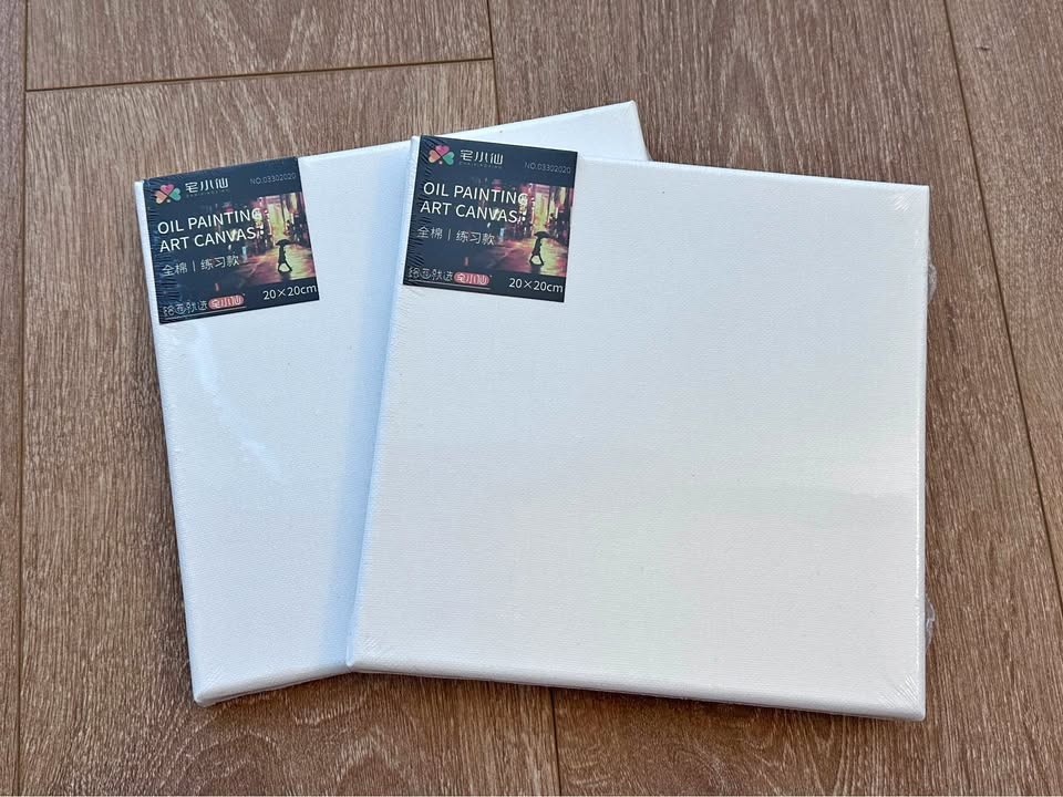 Brand new oil painting canvas (set of 2)