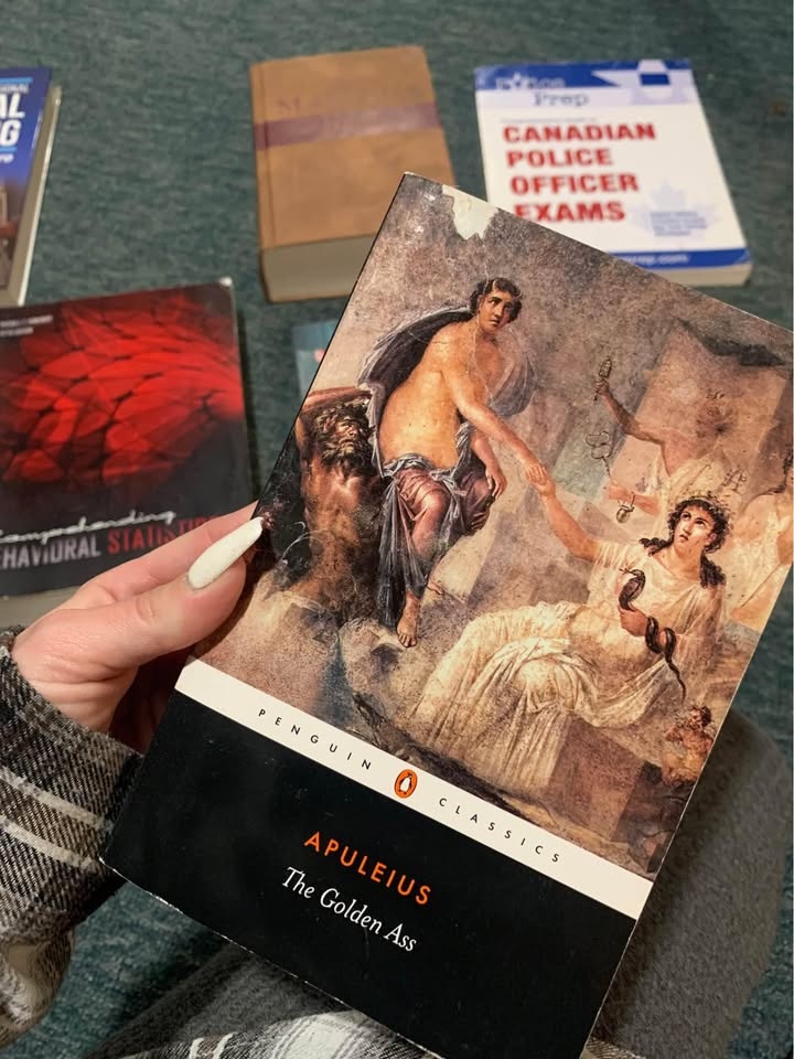 Books - large variety - photo 2