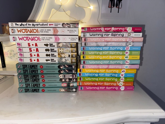 Mint Condition Manga - Originally $24, Selling for $10