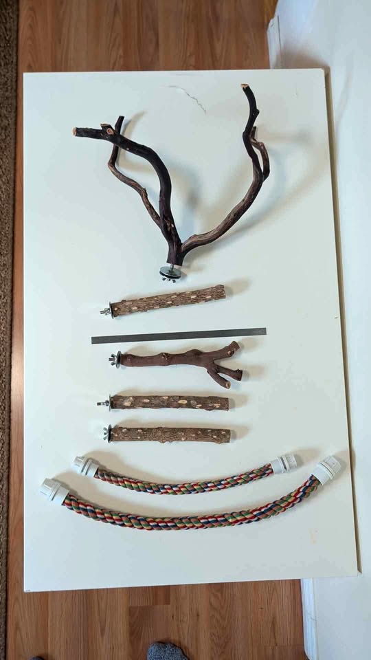 Bird Cage Accessories