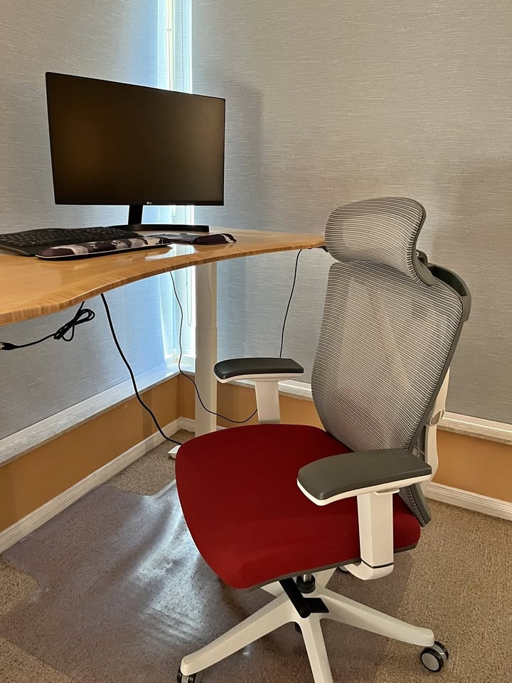 Ergonomic Office Chair