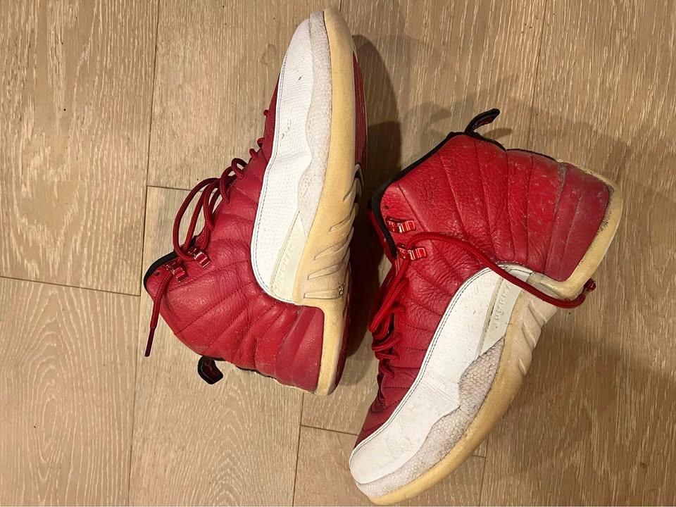 Jordan Retro 12s