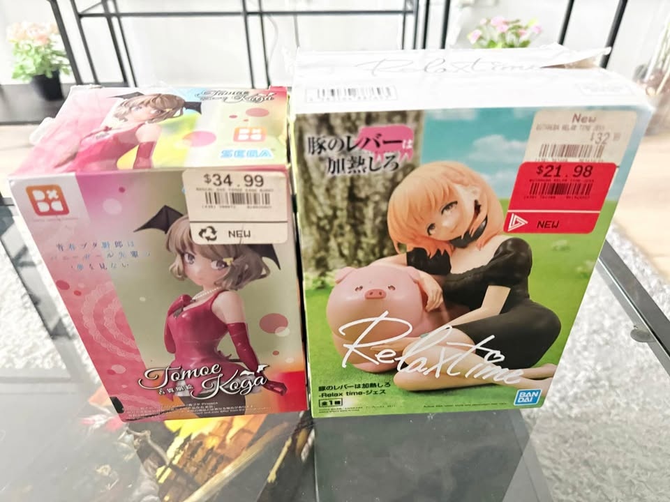 Authentic Anime Figures - Tomoe Koga & Jess