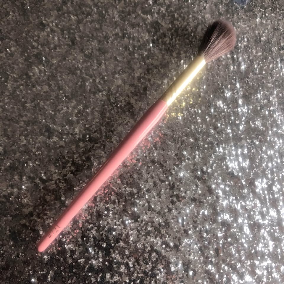 P.Louise Makeup Brush Set! - photo 5