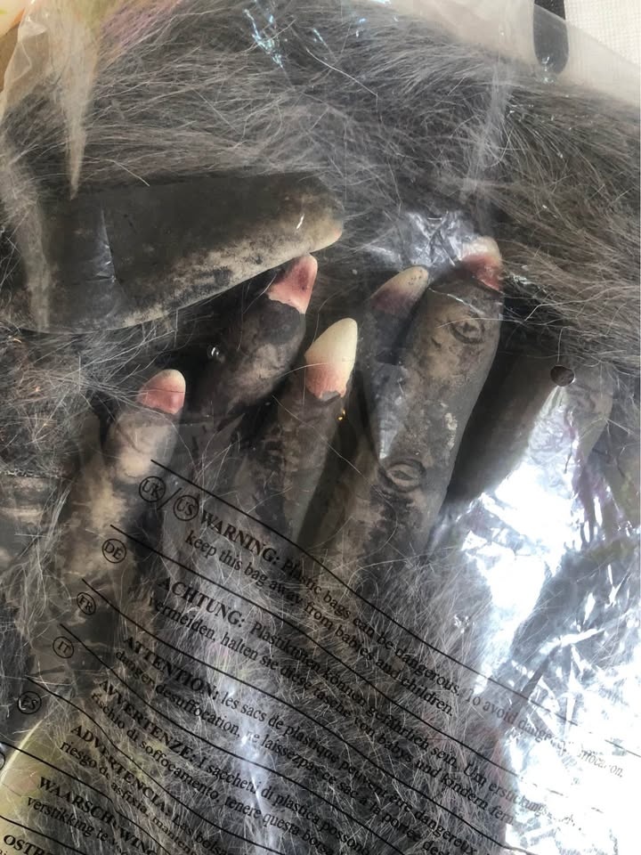 Werewolf Costume - Spooktacular Creations - photo 3