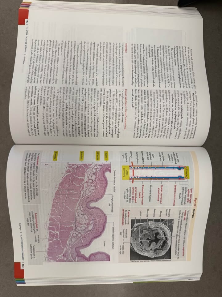 Histology and Cell Biology: An Introduction to Pathology - photo 2