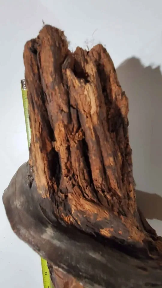 Hand carved wood sculpture image indicator(2)