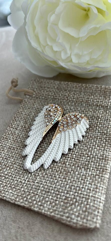 Angel wings Brooch