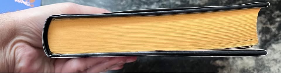 Sanctuary of the Shadow Indigo Edition Book - photo 4