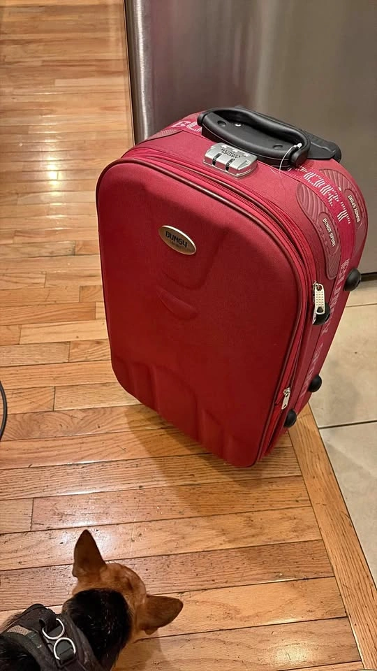 Bungy Sport Red Carry-on Luggage
