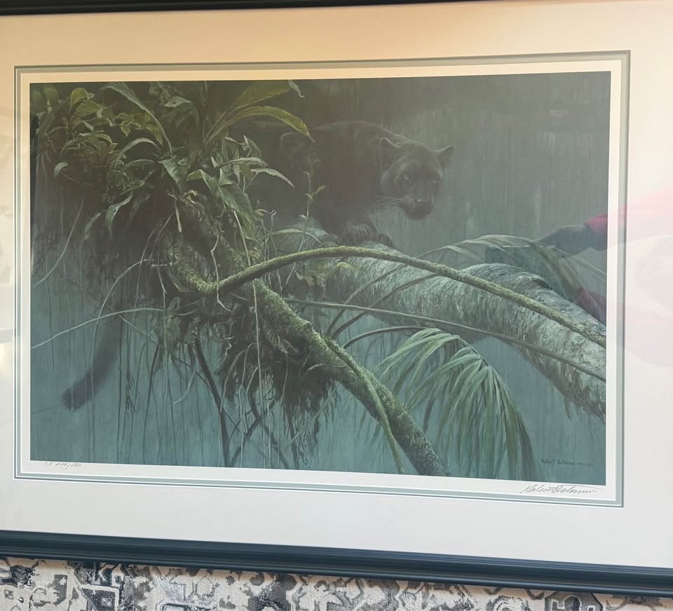 Robert Bateman print: Shadow in the Rainforest