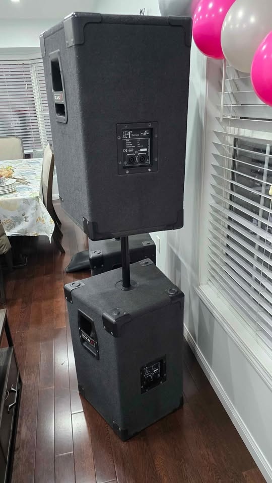 DAS PA System, Subs and Speakers - photo 5