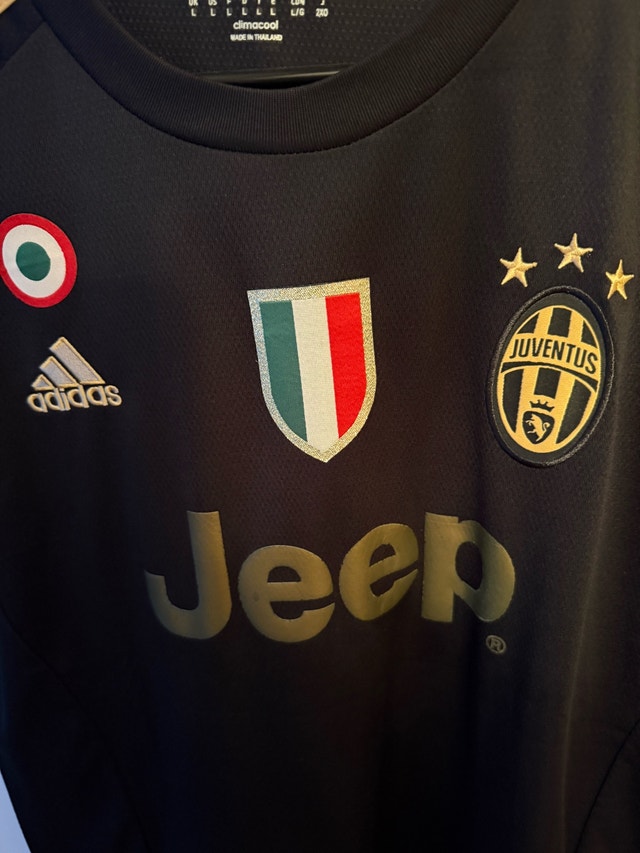 Juventus 2015/16 Black & Gold Pogba #10 Jersey (L) - photo 4