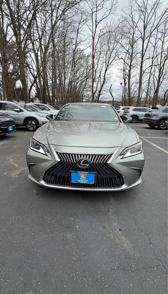 2019 Lexus ES 350 Luxury Sedan