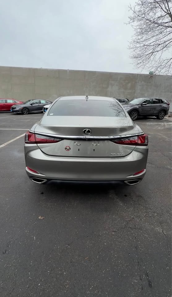 2019 Lexus ES 350 Luxury Sedan - photo 4