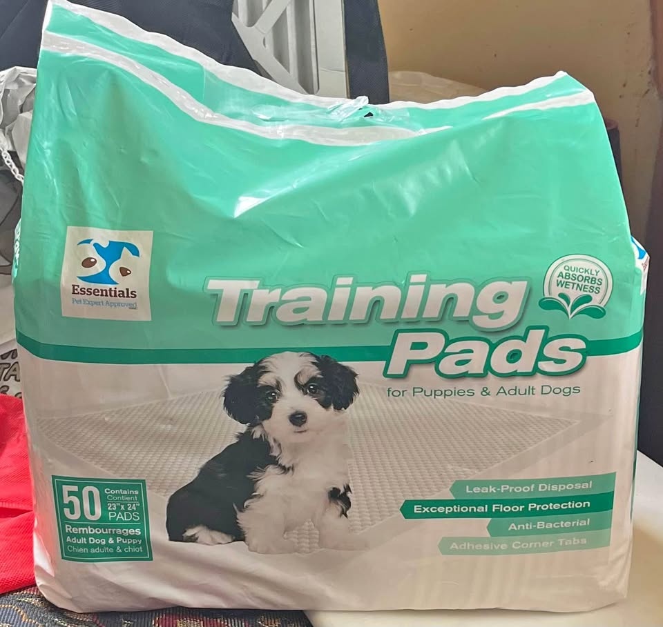 Dog Supplies: Dog Bed & Diaper