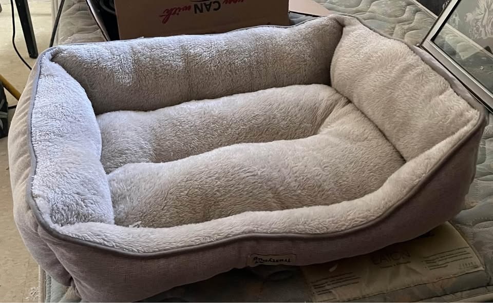 Dog Supplies: Dog Bed & Diaper - photo 3