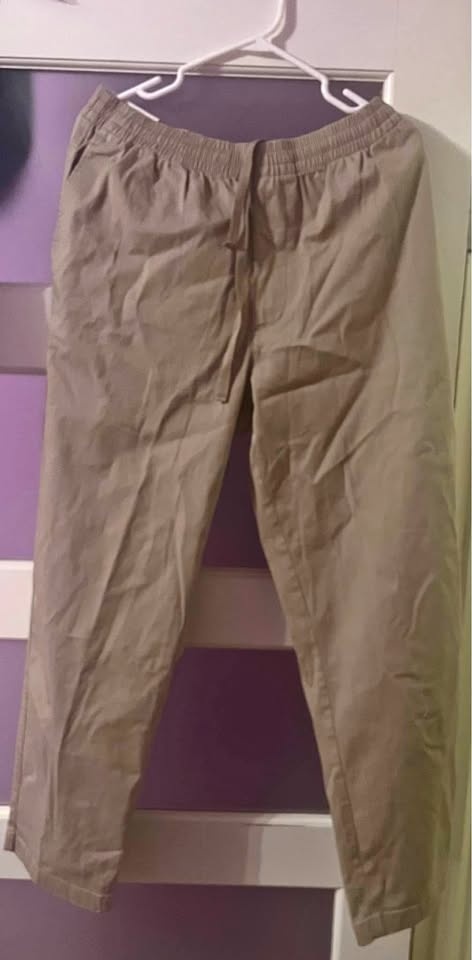 Uniqlo Men’s Ankle Pants