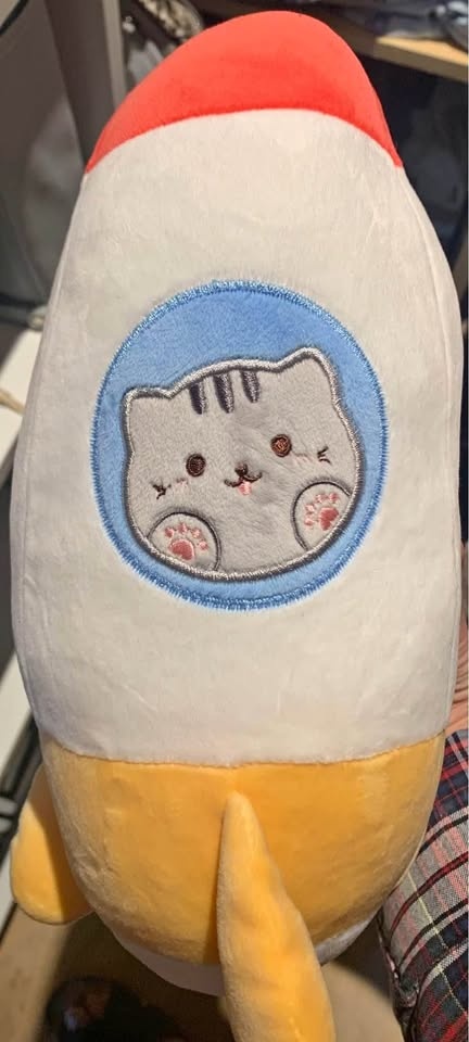 Miniso Rocket Cat Plush (MUST GO)