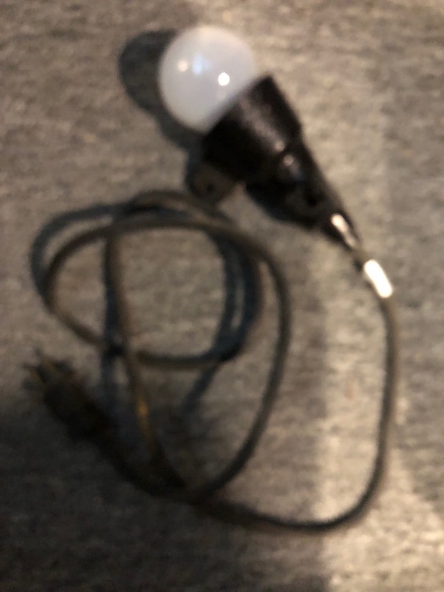 Safety Light with Extra Plug