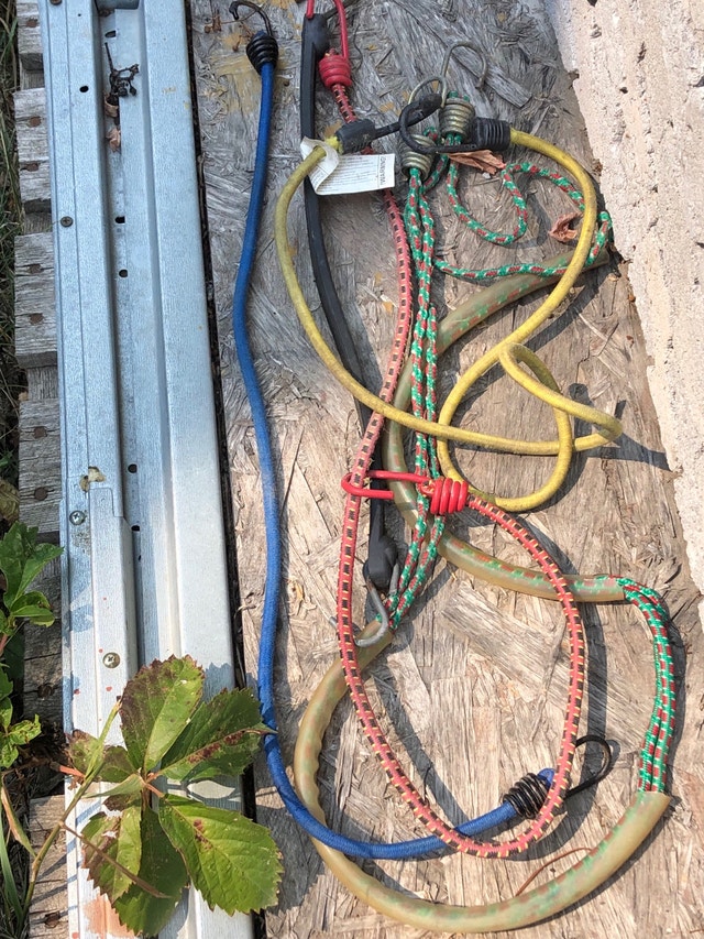 Assorted Bungee Cords