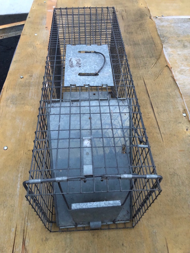 Cat Trap