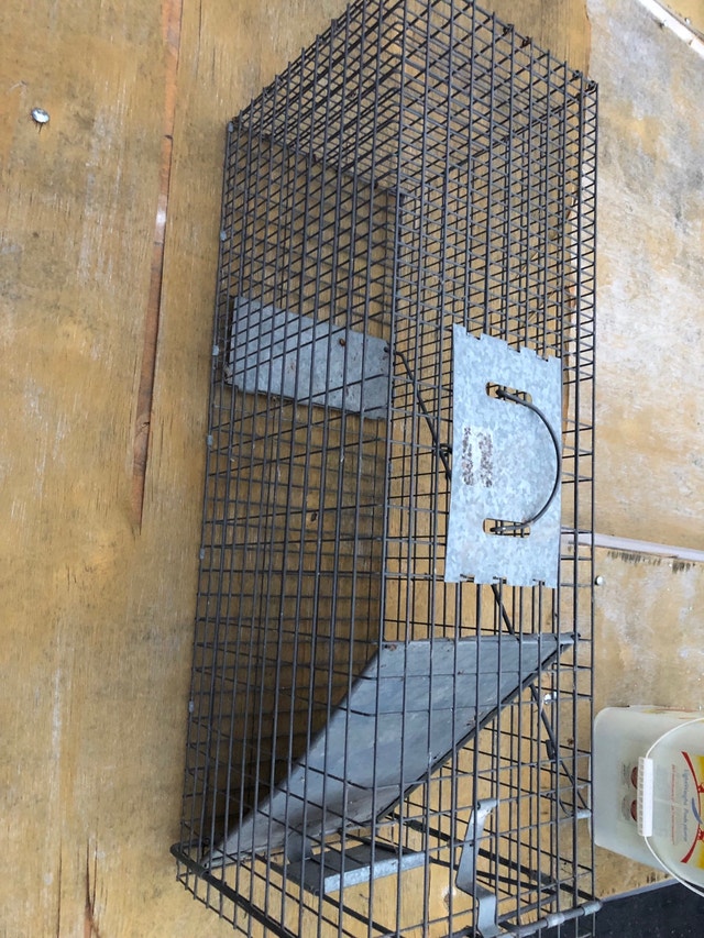 Cat Trap - photo 2
