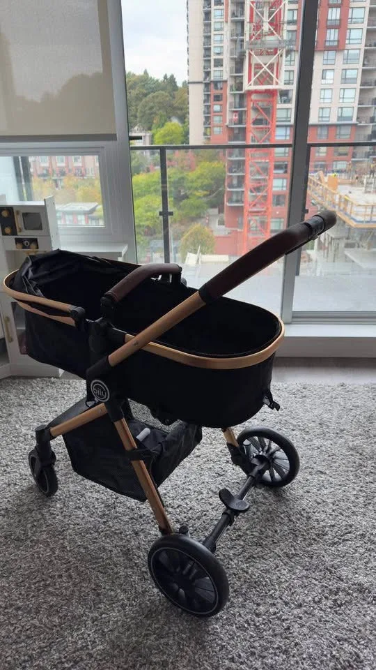 Bily Convertible Stroller - Black & Gold image indicator(4)