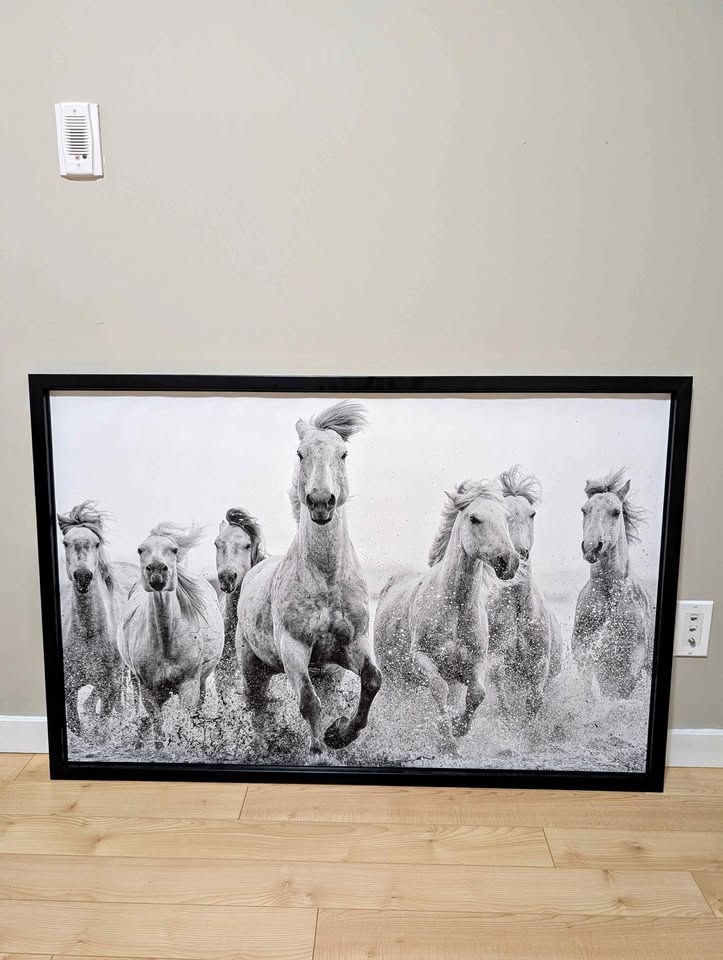 Large Framed Horse Wall Art - Black & White Canvas (46 x 31)
