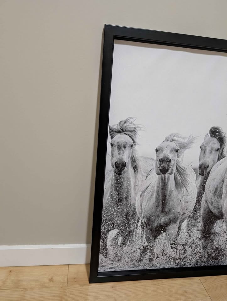 Large Framed Horse Wall Art - Black & White Canvas (46 x 31) - photo 2