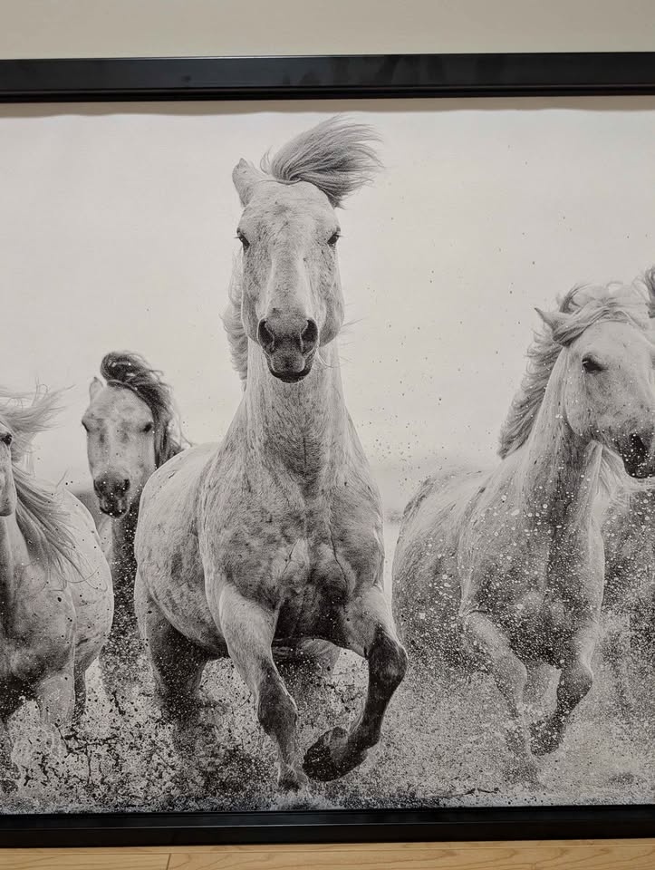Large Framed Horse Wall Art - Black & White Canvas (46 x 31) - photo 3