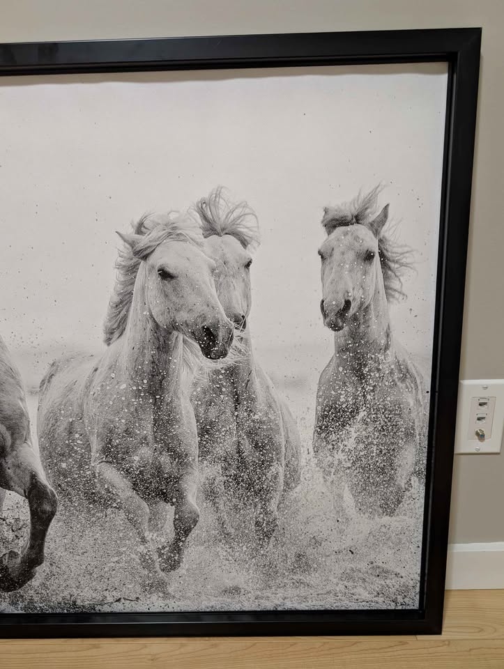 Large Framed Horse Wall Art - Black & White Canvas (46 x 31) - photo 4