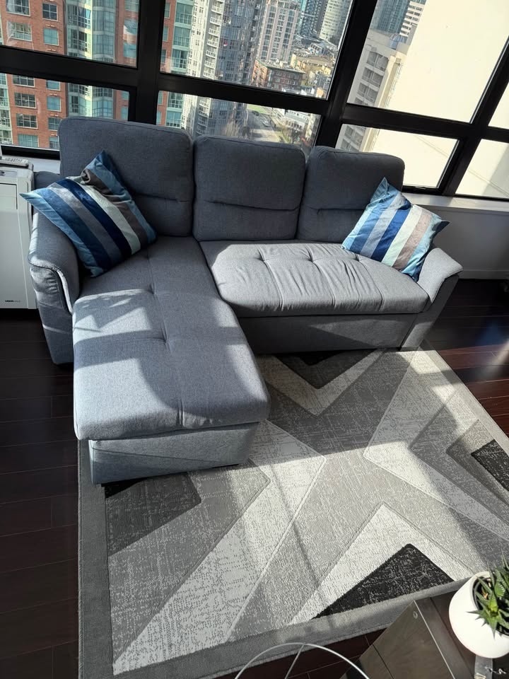 Grey Sectional Sofa Bed + Rug + Pillows (Condo Size)