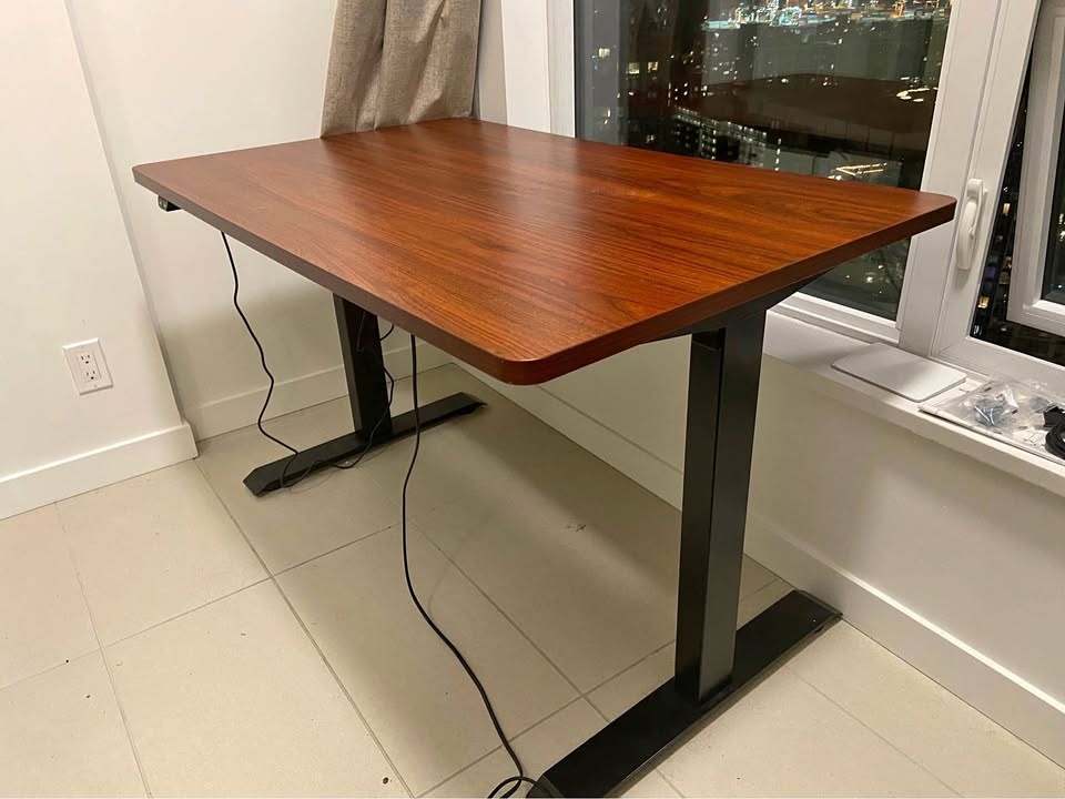 Flexispot EN1 Electric Standing Desk