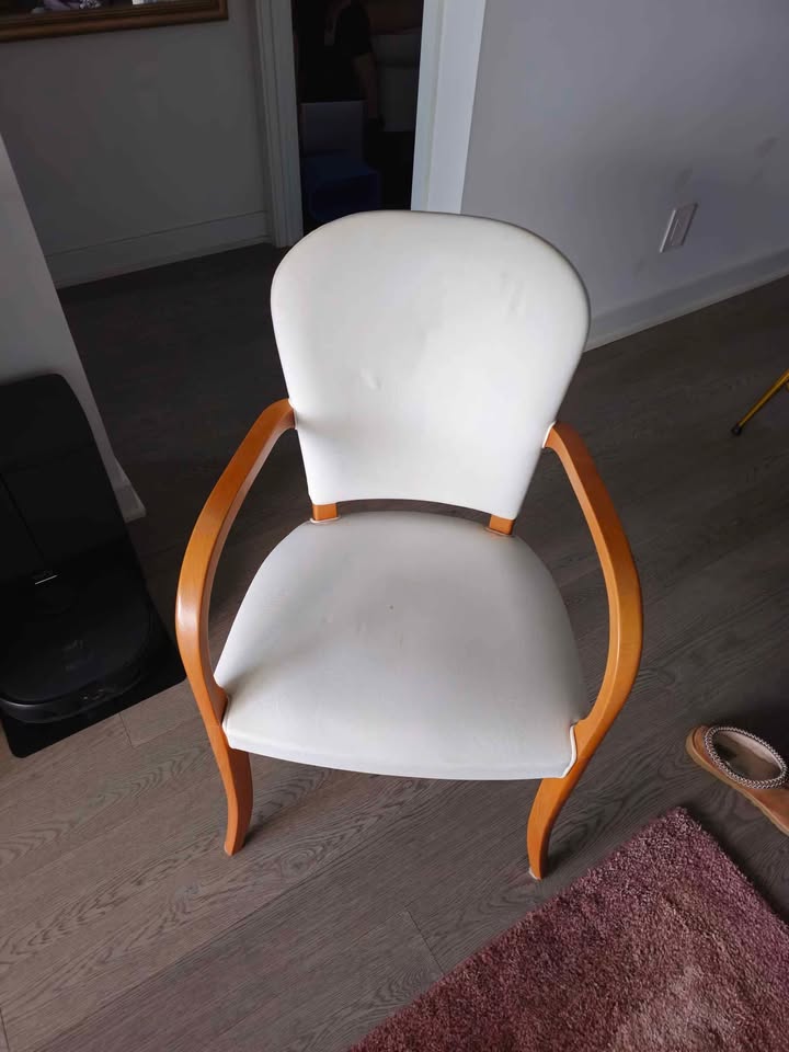 Elegant Italian Designed - Potocco - Chair - photo 3