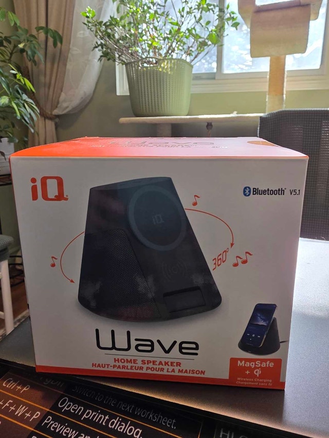 iQ Wave Speaker