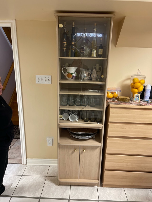 Display Cabinet 78”x16”x21”