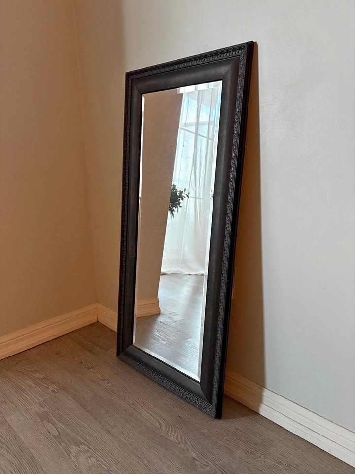 Dark Ornate Full Length Mirror