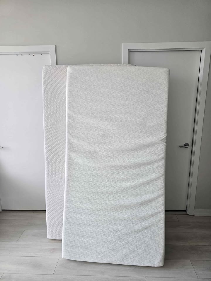 Zinus Twin Mattresses
