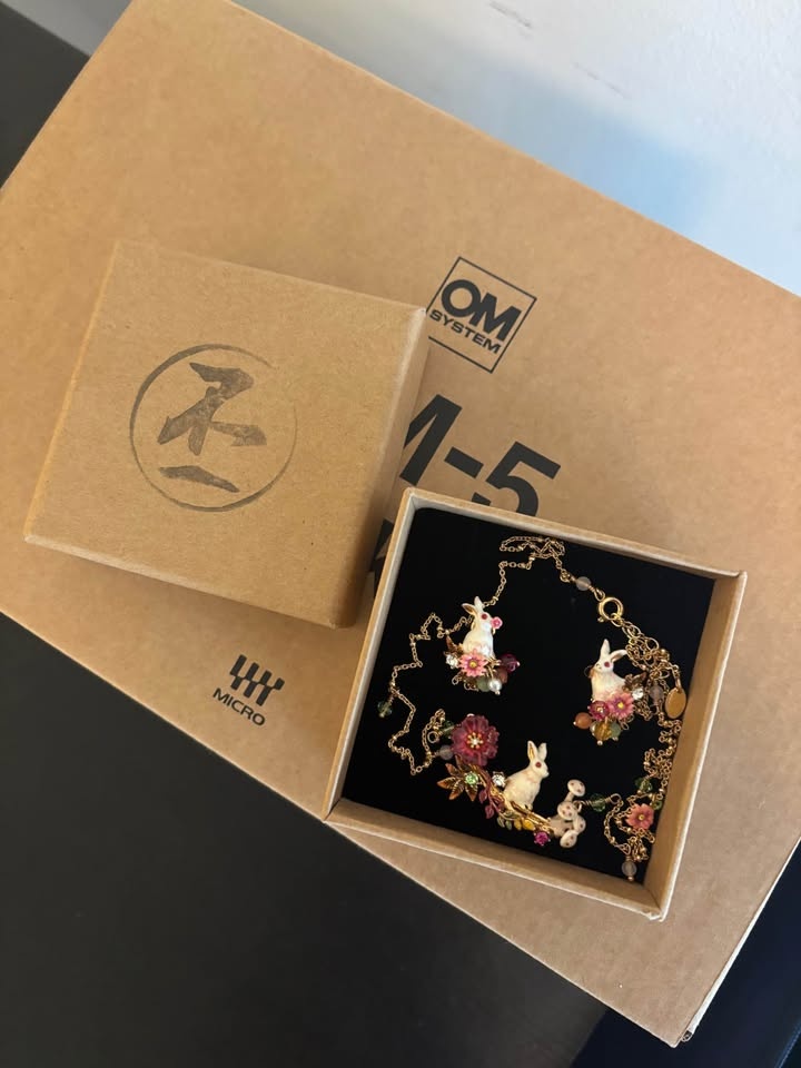 Beautiful bunny earring and necklace jewelry set brand new - photo 2