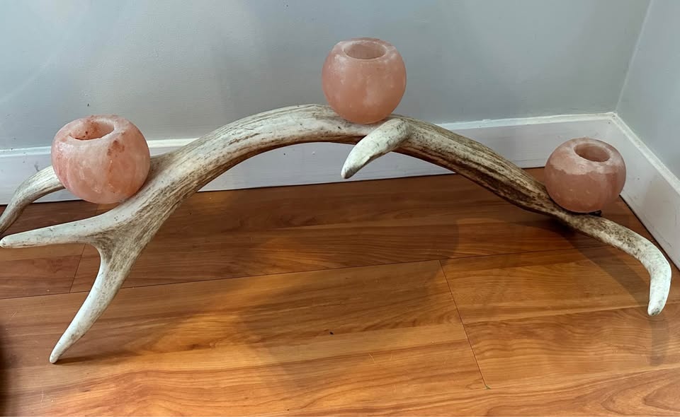 One-of-a-Kind Real Antler Centerpiece w/ Himalayan Salt Tealight - photo 2