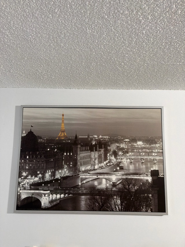 Paris Eiffel Tower Framed Art