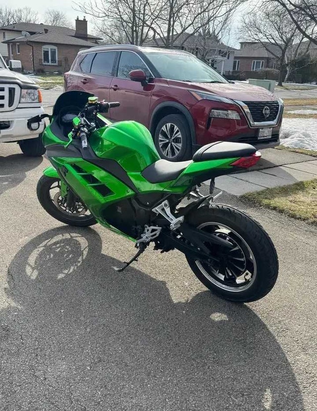 Customized Electric Motorcycle