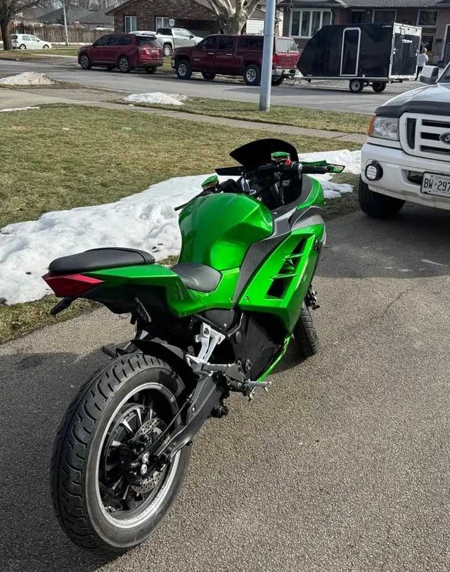 Customized Electric Motorcycle - photo 2