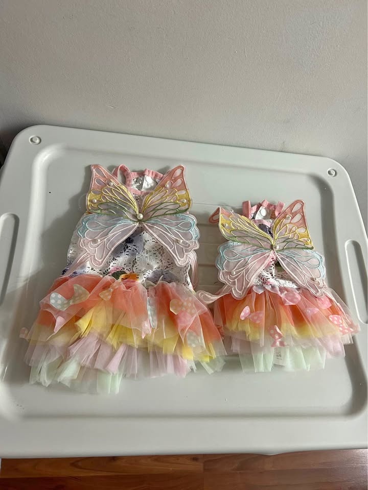 Fairy Dog Outfit