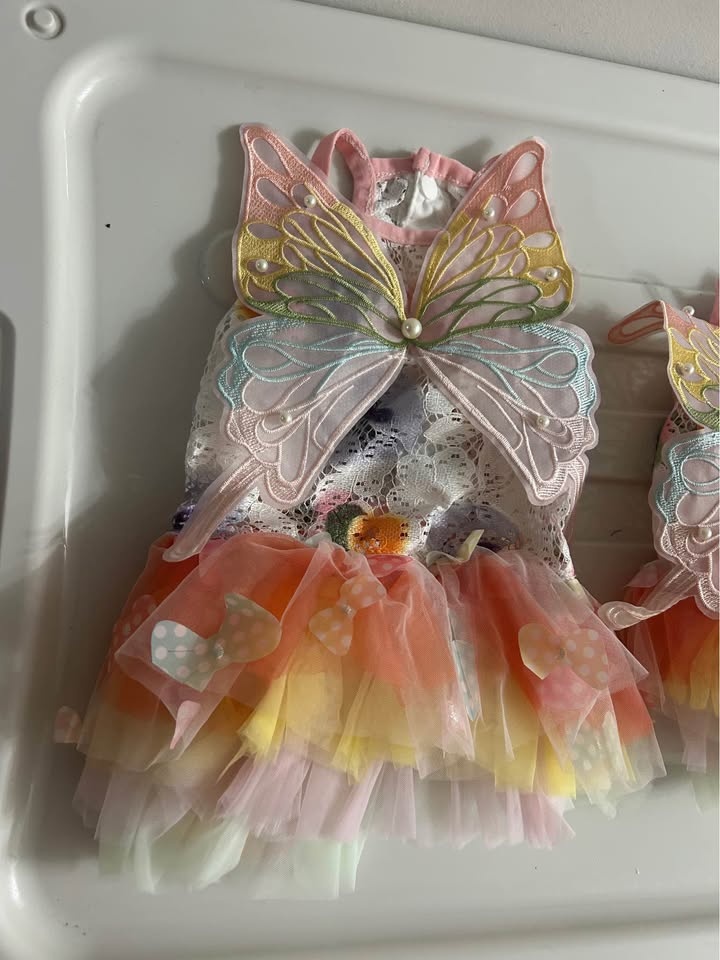 Fairy Dog Outfit - photo 2