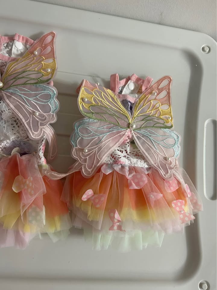 Fairy Dog Outfit - photo 3
