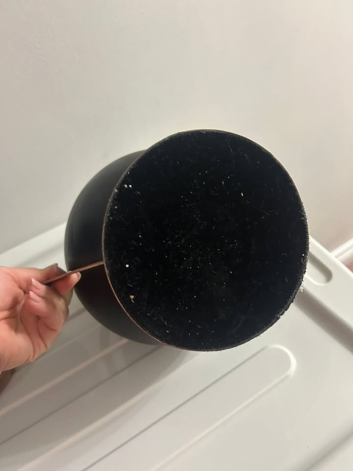Chalkboard Globes - photo 4