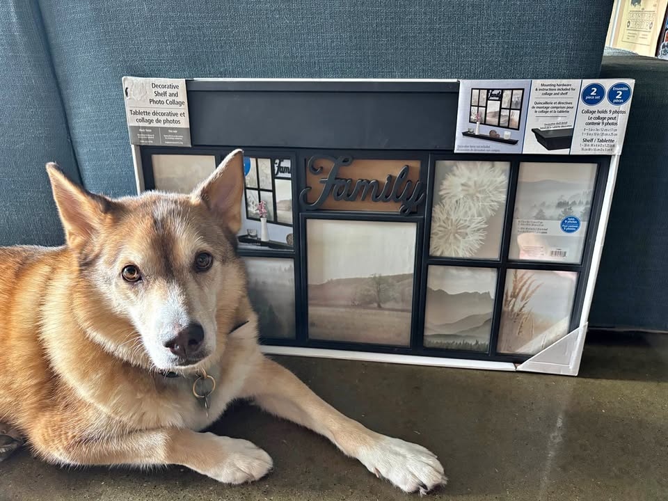 Collage frame with shelf